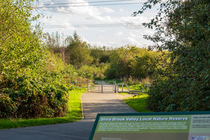 Hurricane Avenue Woodhouse